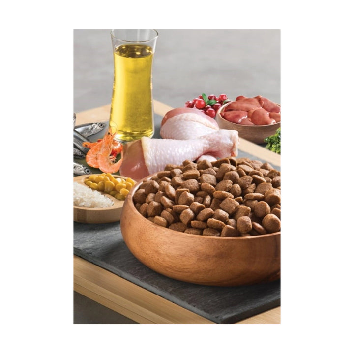 BonaCibo Adult Chicken Rice with Anchovy 15 Kg