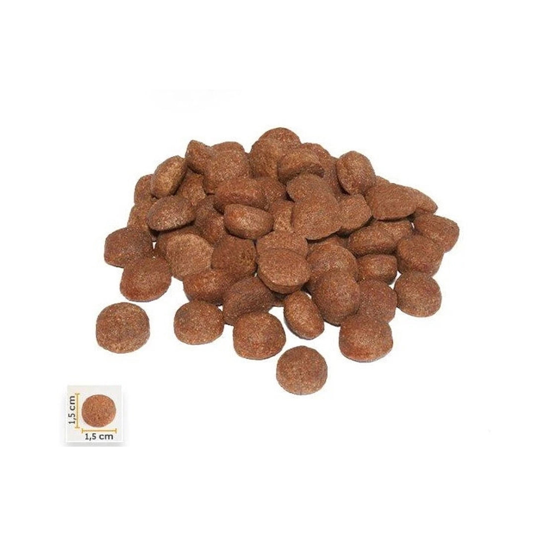 BonaCibo Adult High Energy 15 Kg