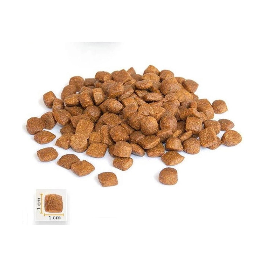 BonaCibo Adult Lamb Rice 15 Kg