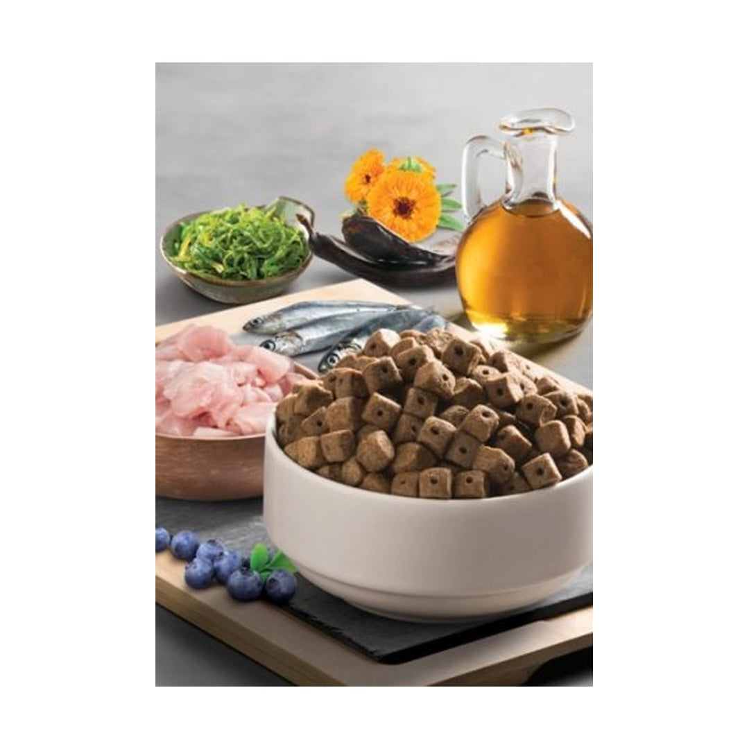 BonaCibo Adult Senior Over Weight Chicken 3 Kg