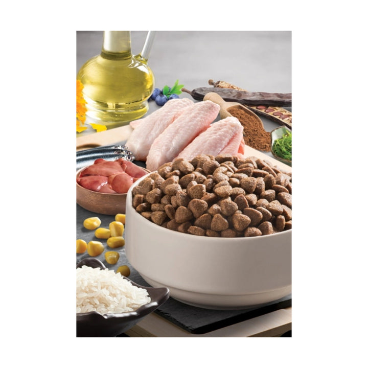 BonaCibo Puppy Chicken Rice with Anchovy 15 Kg