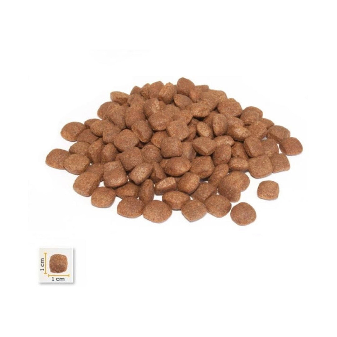 BonaCibo Puppy Lamb Rice 15 Kg
