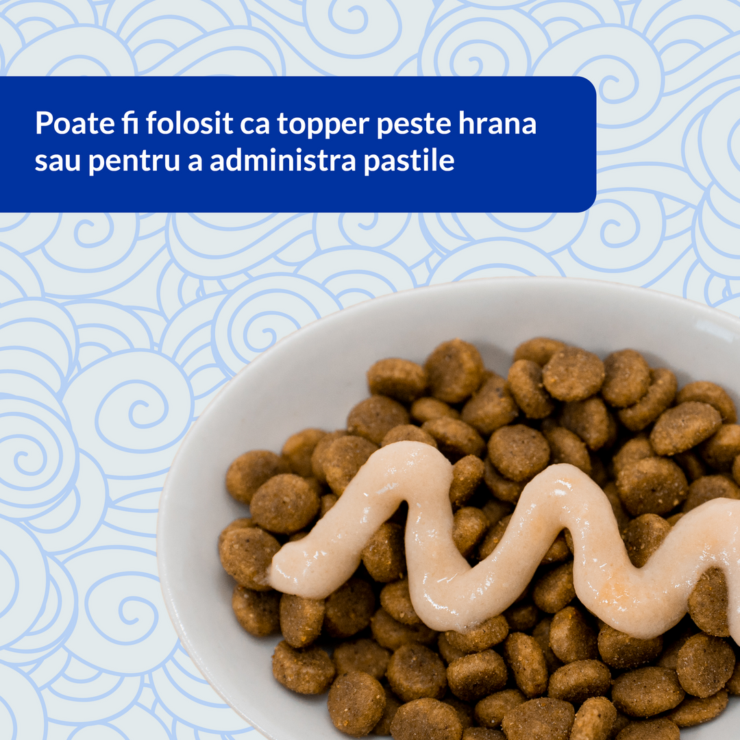 Churu Cat Varieties Recompense Cremoase cu Ton 40 buc 40x14 Gr
