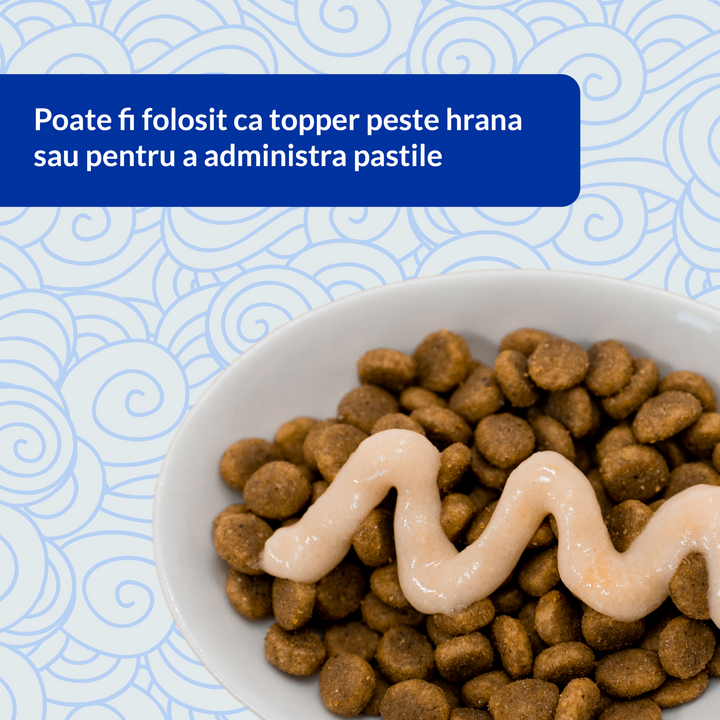 Churu Cat Varieties Recompense Cremoase cu Ton si Fructe de Mare 20 Buc 20x14 Gr