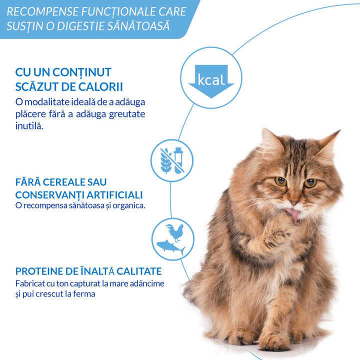 Ciao Churu Hairball Control Recompensa Cremoasa cu Ton 4x14 Gr