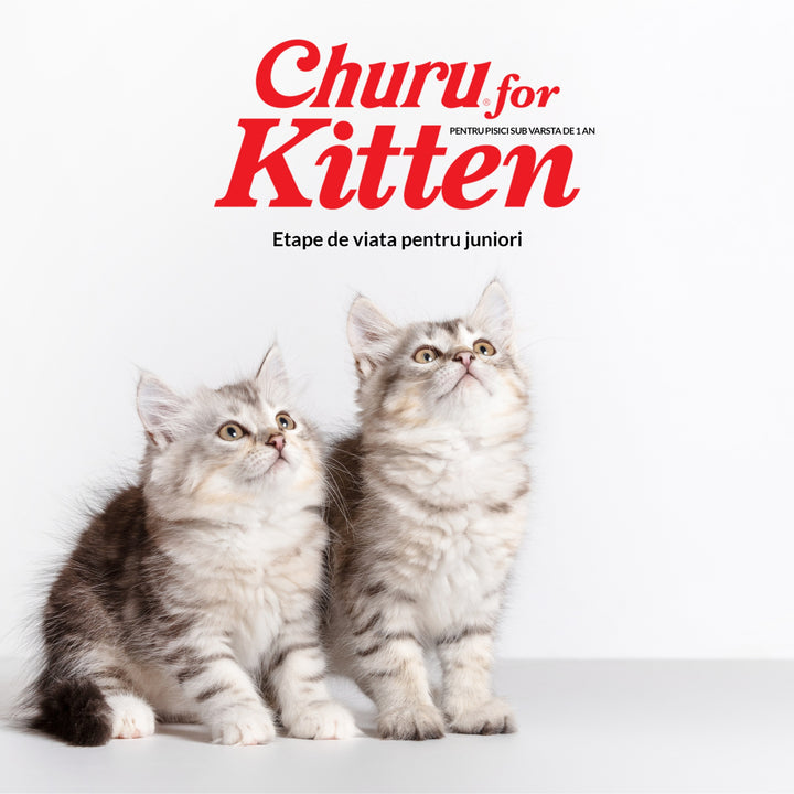 Churu Recompensa Cremoasa Kitten cu Pui 56 Gr