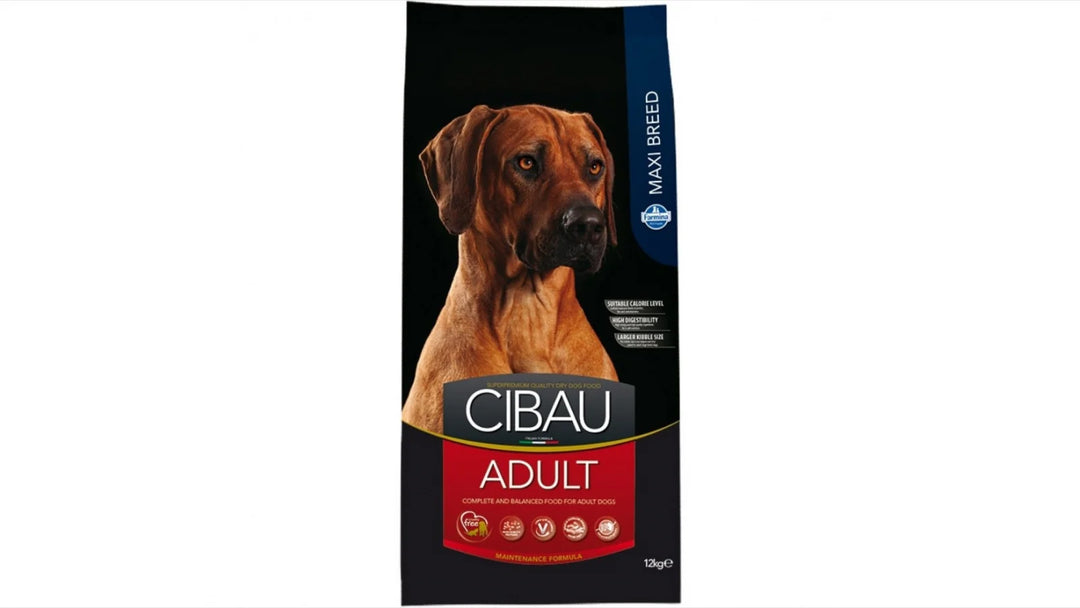 Hrană uscată câine Farmina CIBAU adult maxi 12 kg