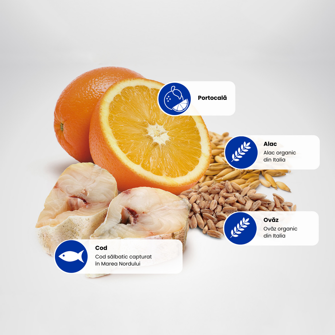 Protein Sources - Cod-Orange-Spelt-Oats