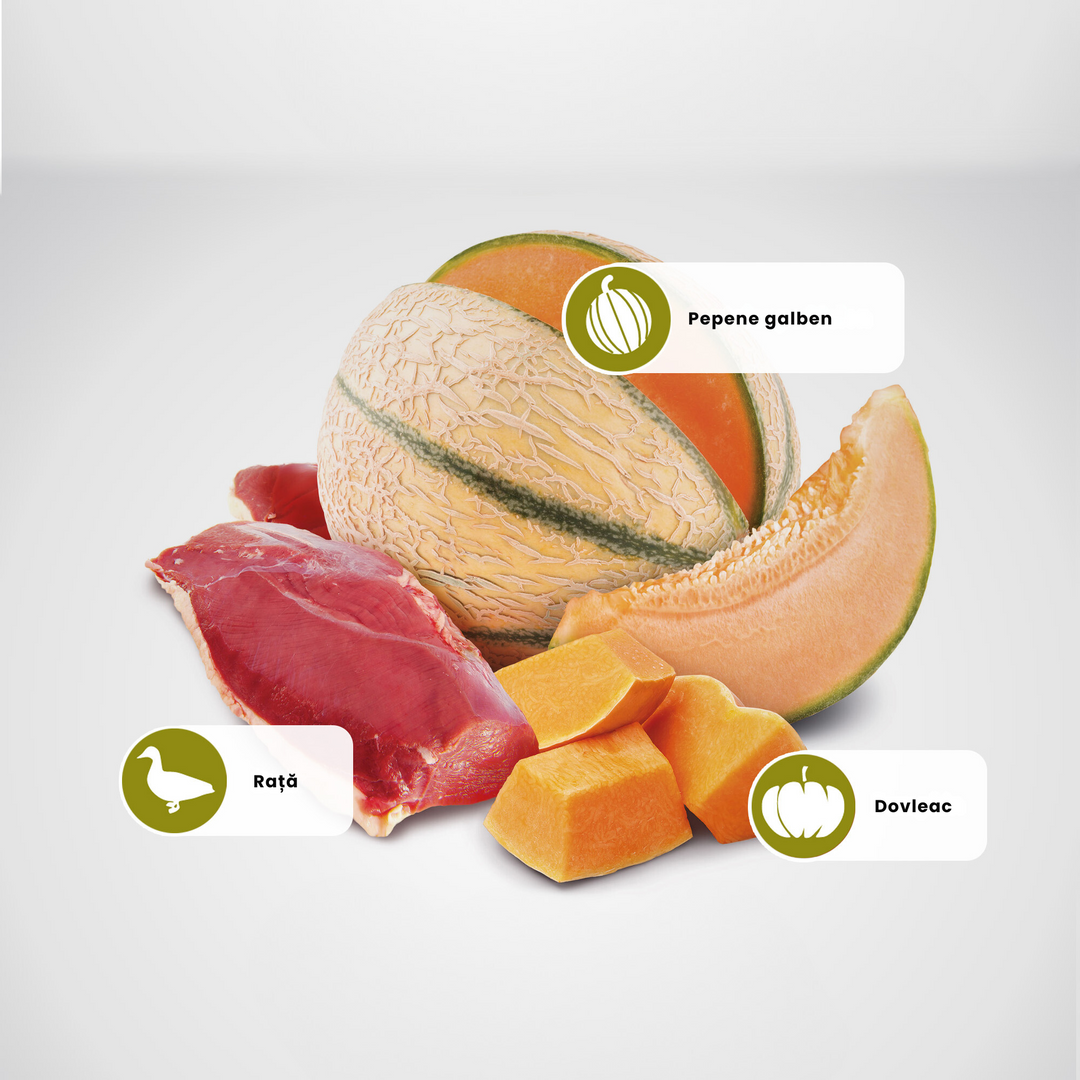 Protein Sources