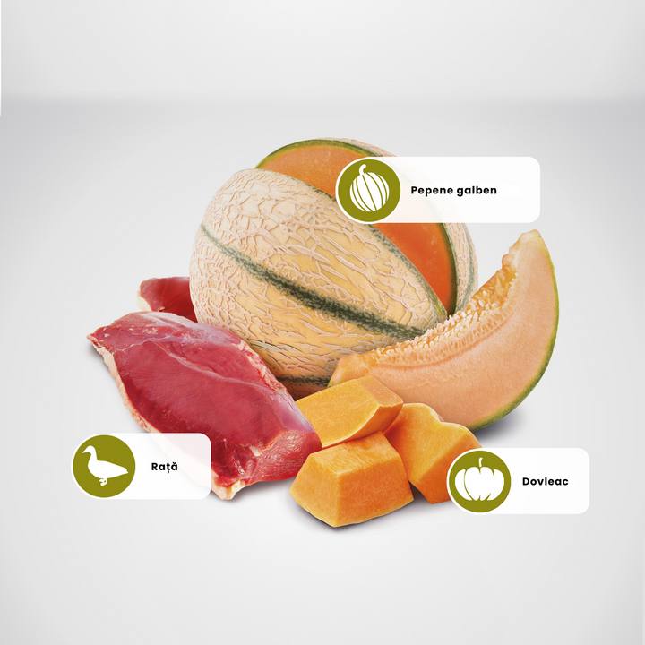 Protein Sources