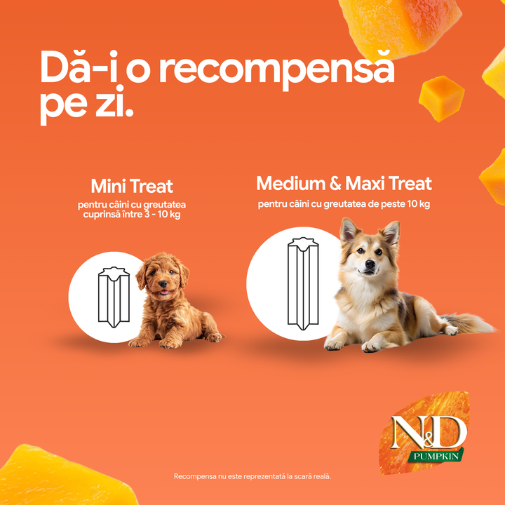 Recompense Dentare Caini Farmina N&amp;D Pumpkin | Miel, Dovleac &amp; Afine, Mini, 60g