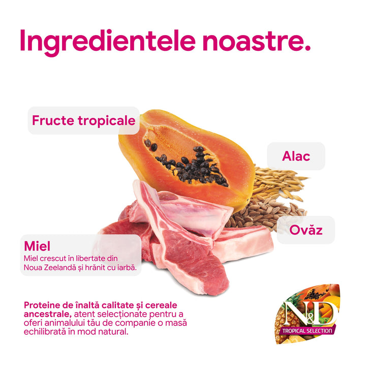 Hrana Uscata Caini Farmina N&amp;D PND1000033 | Miel, Fructe, 10kg