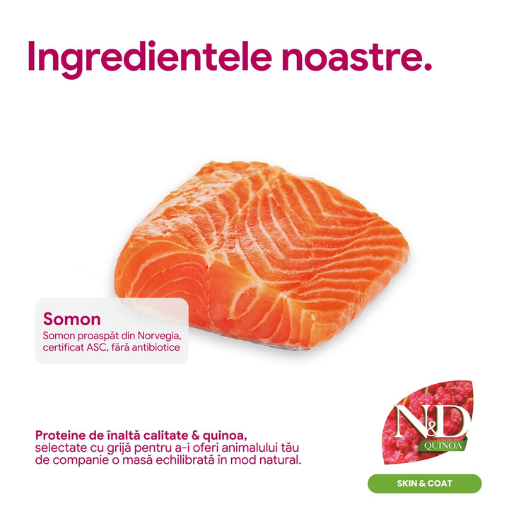 Recompense N&amp;D Quinoa Skin &amp; Coat | Crema cu Somon, 4x15g, Pisici