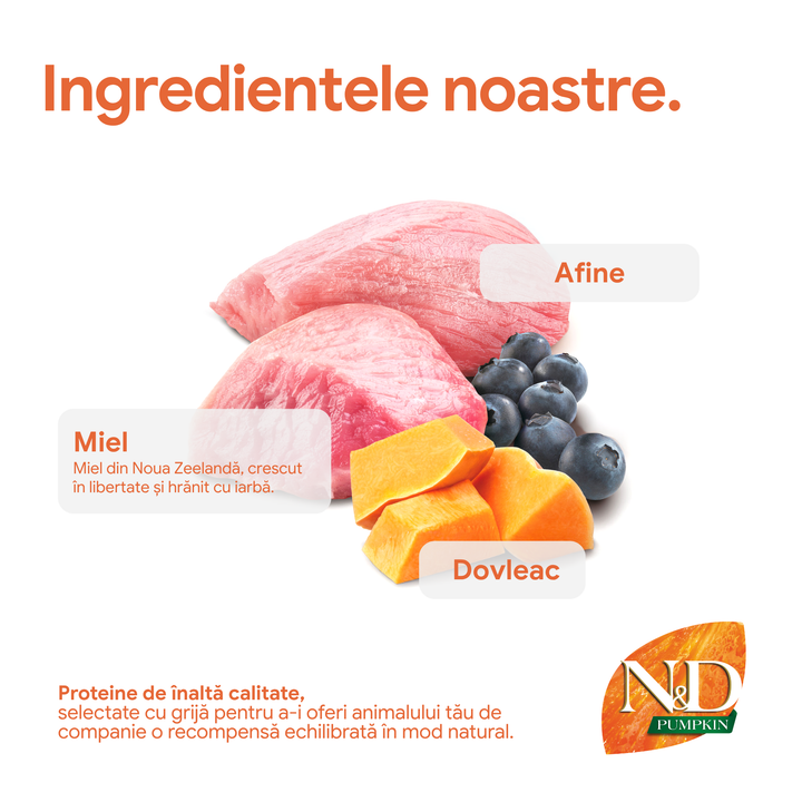 Recompense Dentare Caini Farmina N&amp;D Pumpkin | Miel, Dovleac &amp; Afine, Mini, 60g