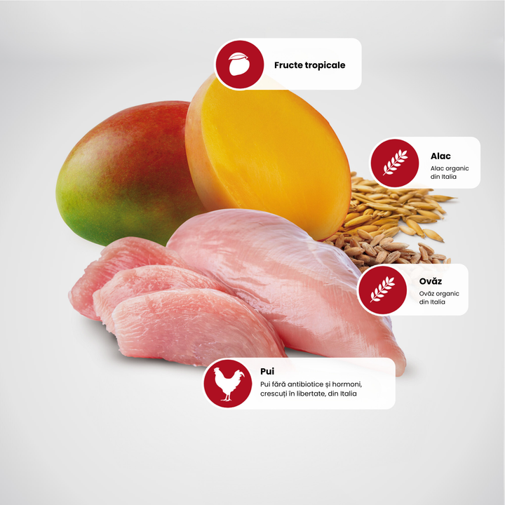 Protein Sources