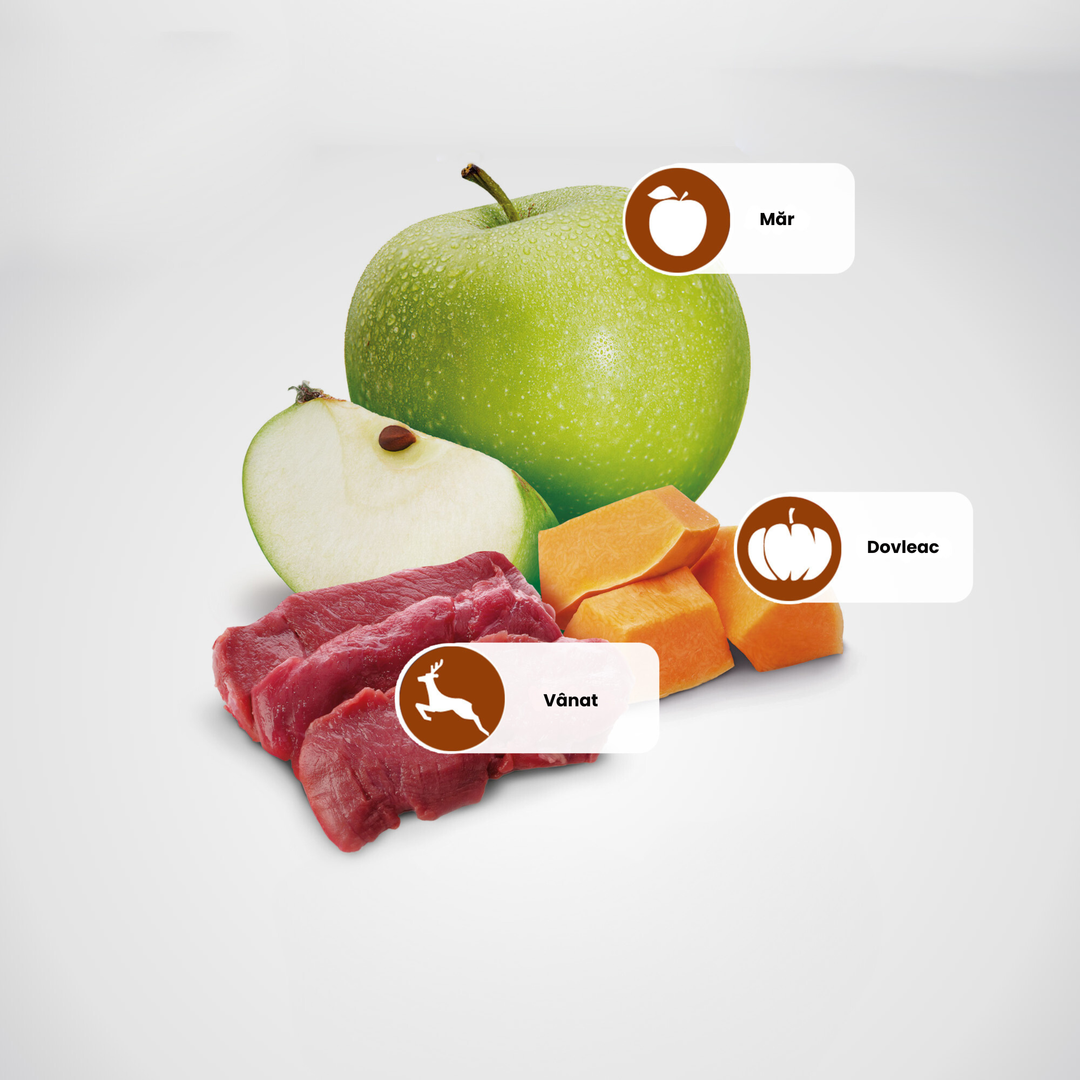Protein Sources
