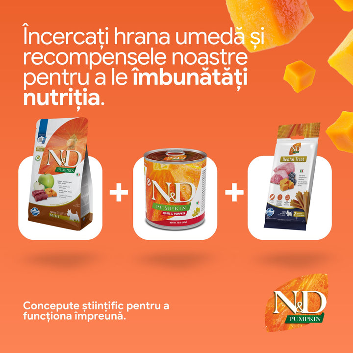 Hrană uscată câine Farmina N&amp;D PUMPKIN vânat &amp; măr adult mini 2 kg