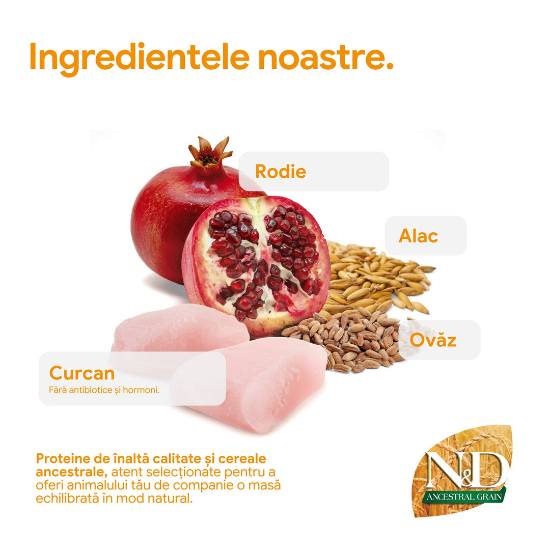 Hrana Uscata Pisici Farmina N&amp;D PND1000026 | Curcan, Rodie, 10kg