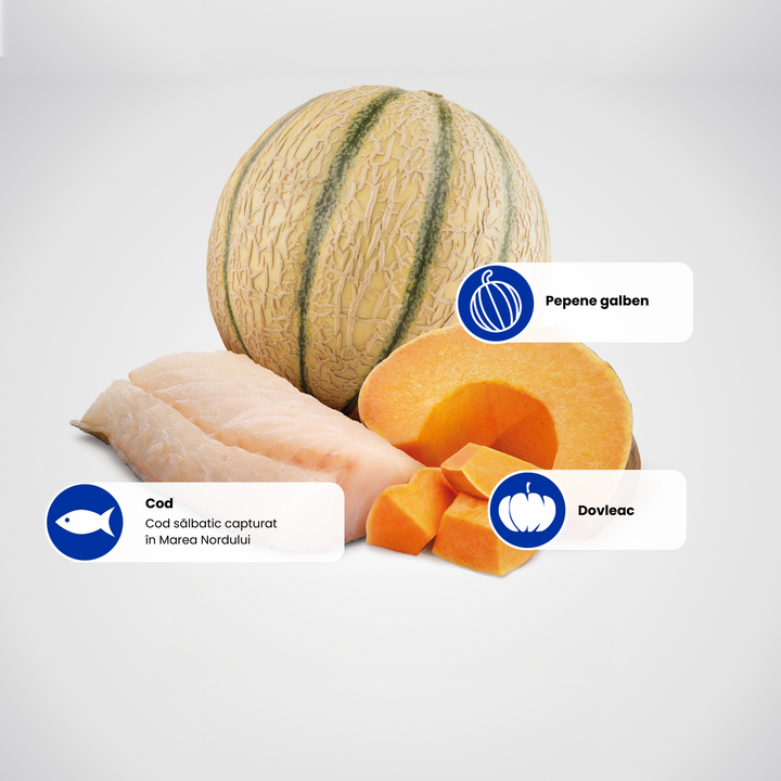 Protein Sources - Cod-Melon-Pumpkin