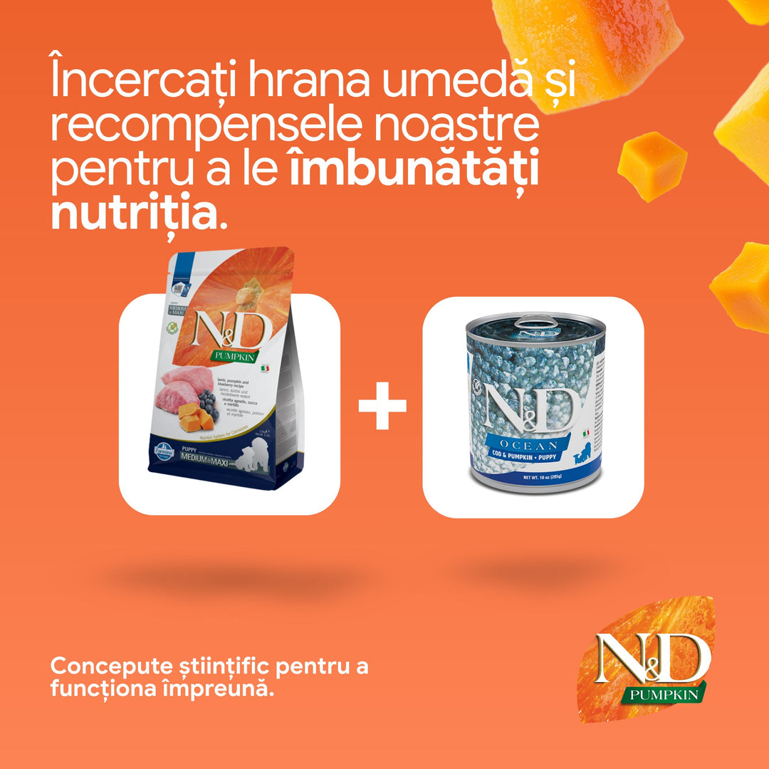 Hrana Uscata Caini Farmina N&amp;D PND120750S | Miel, Afine, 12kg