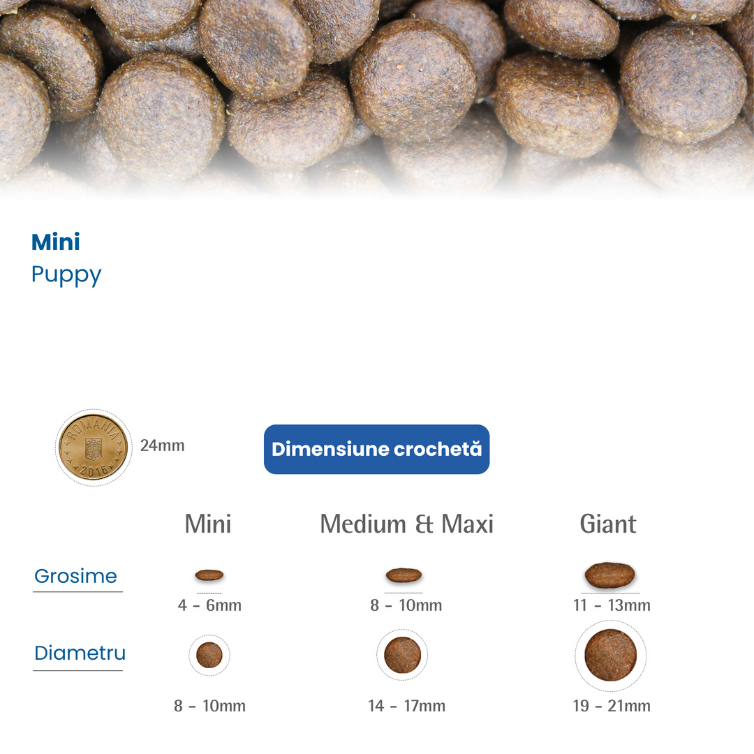 Feeding Guide