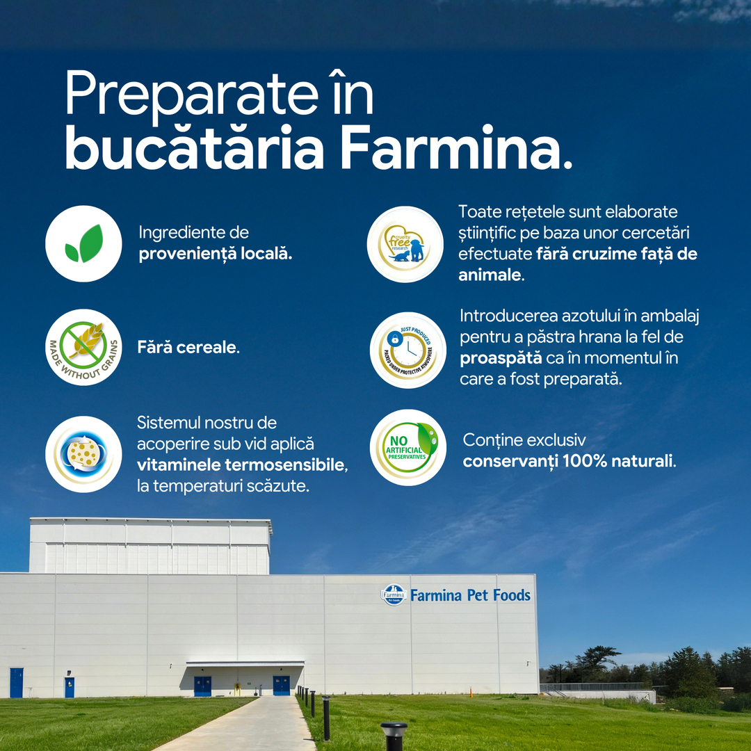 Recompense Dentare Caini Farmina N&amp;D Quinoa Skin &amp; Coat | Prepeliță, Mini, 60g
