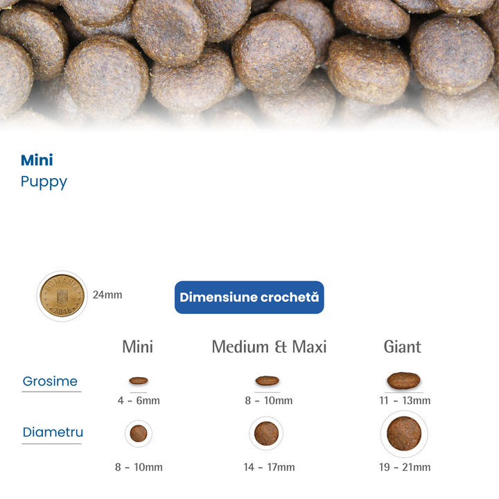 Feeding Guide