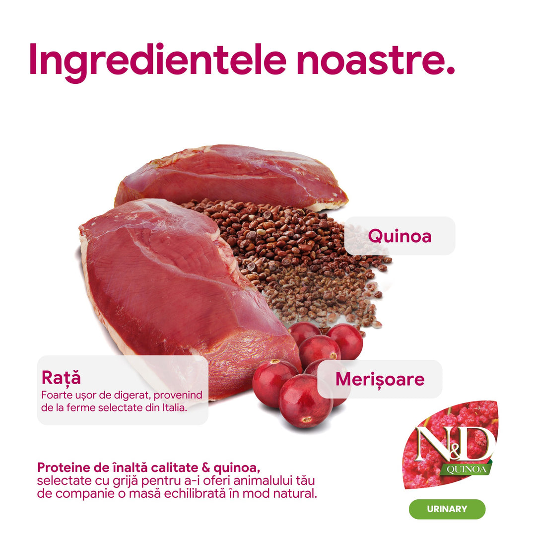 Hrană Uscată Câine Farmina N&amp;D Quinoa Urinary Rață &amp; merișoare Adult Mini 1,5 kg