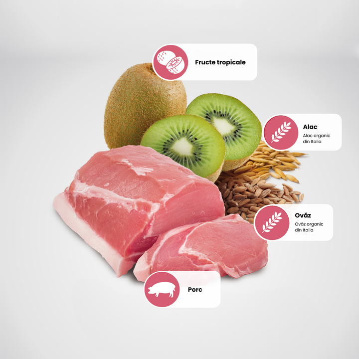 Protein Sources