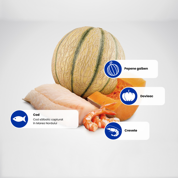 Protein Sources - Cod-Melon-Shrimp-Pumpkin