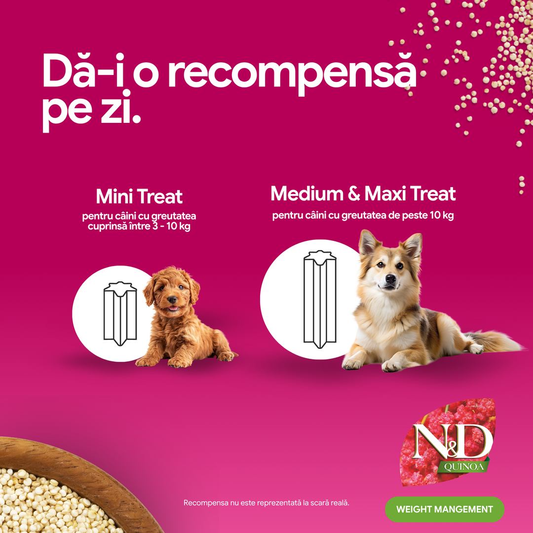 Recompense Dentare Caini Farmina N&amp;D Quinoa Weight Management | Miel &amp; Spirulină, Mini, 60g