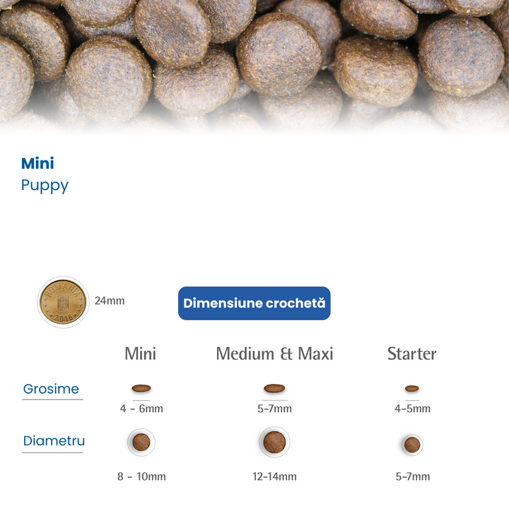 Feeding Guide