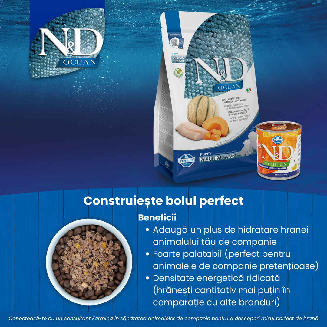 Mixed Feeding - Cod-Melon-Pumpkin