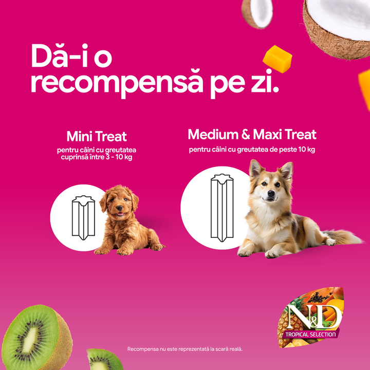 Recompense Dentare Caini Farmina N&amp;D Tropical Selection | Porc, Alac, Ovăz &amp; Fructe Tropicale, Mini, 60g