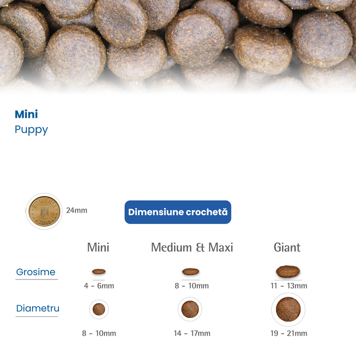 Feeding Guide
