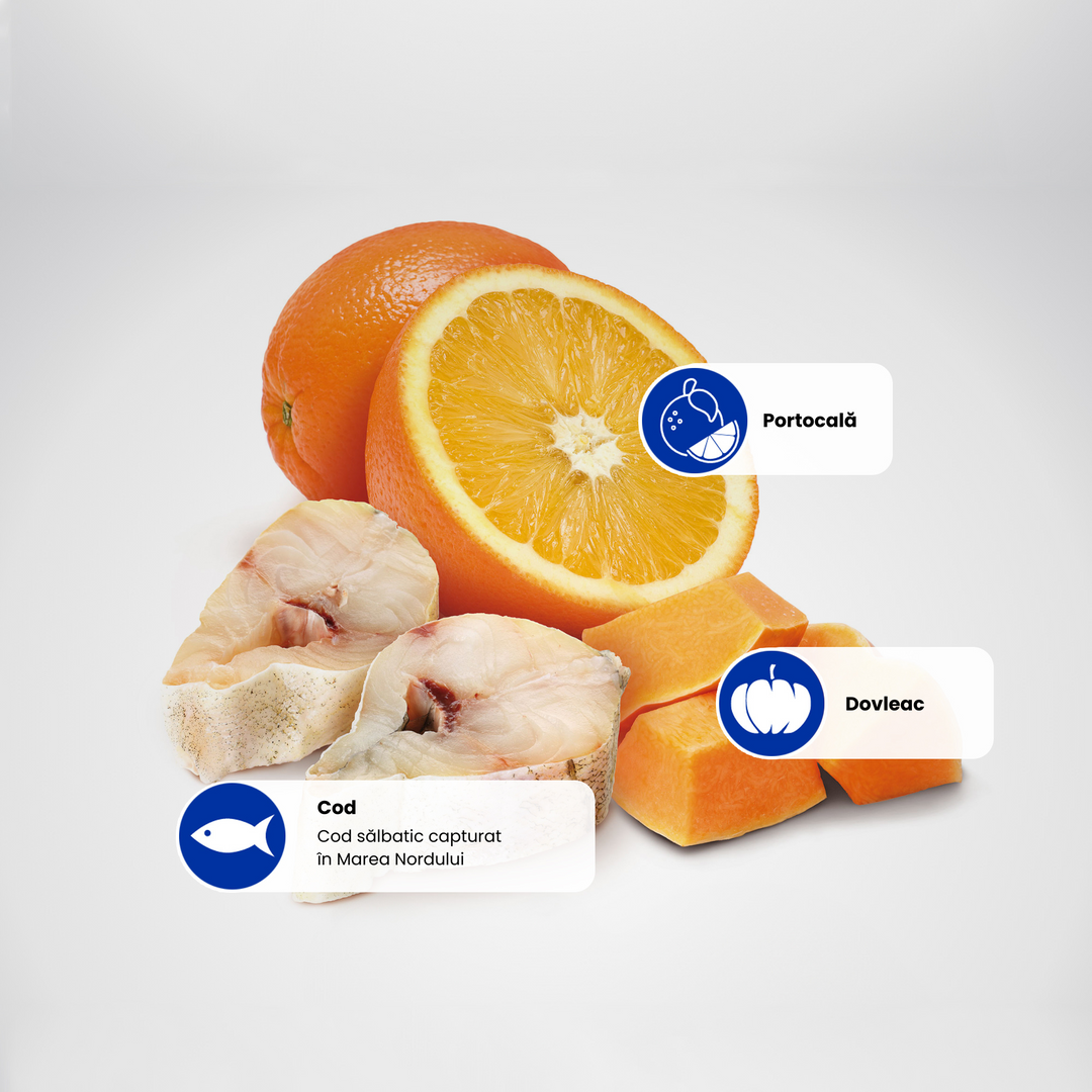 Protein Sources - Cod-Orange-Pumpkin