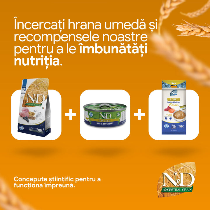 Hrană uscată pisică Farmina N&amp;D ANCESTRAL GRAIN miel &amp; afine 10 kg
