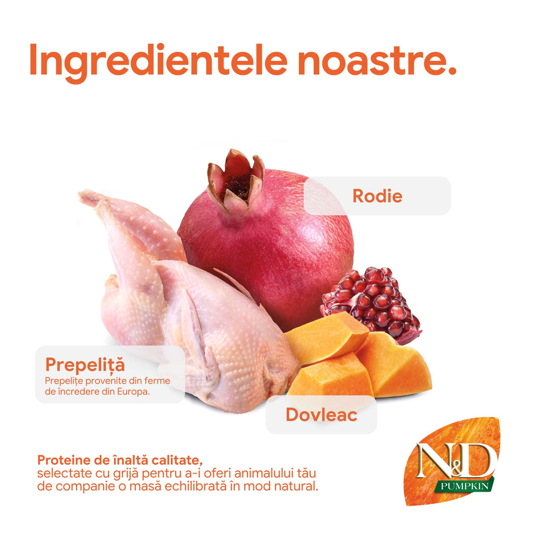 Hrană Uscată Pisică Farmina N&amp;D Pumpkin Prepeliță, dovleac &amp; rodie Neutered 10 kg