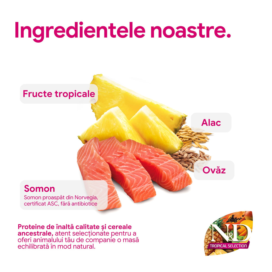 Hrana Uscata Caini Farmina N&amp;D PND1000034 | Somon, Fructe, 10kg