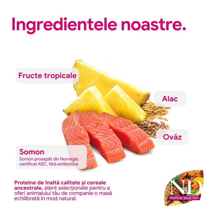 Hrana Uscata Caini Farmina N&amp;D PND1000034 | Somon, Fructe, 10kg