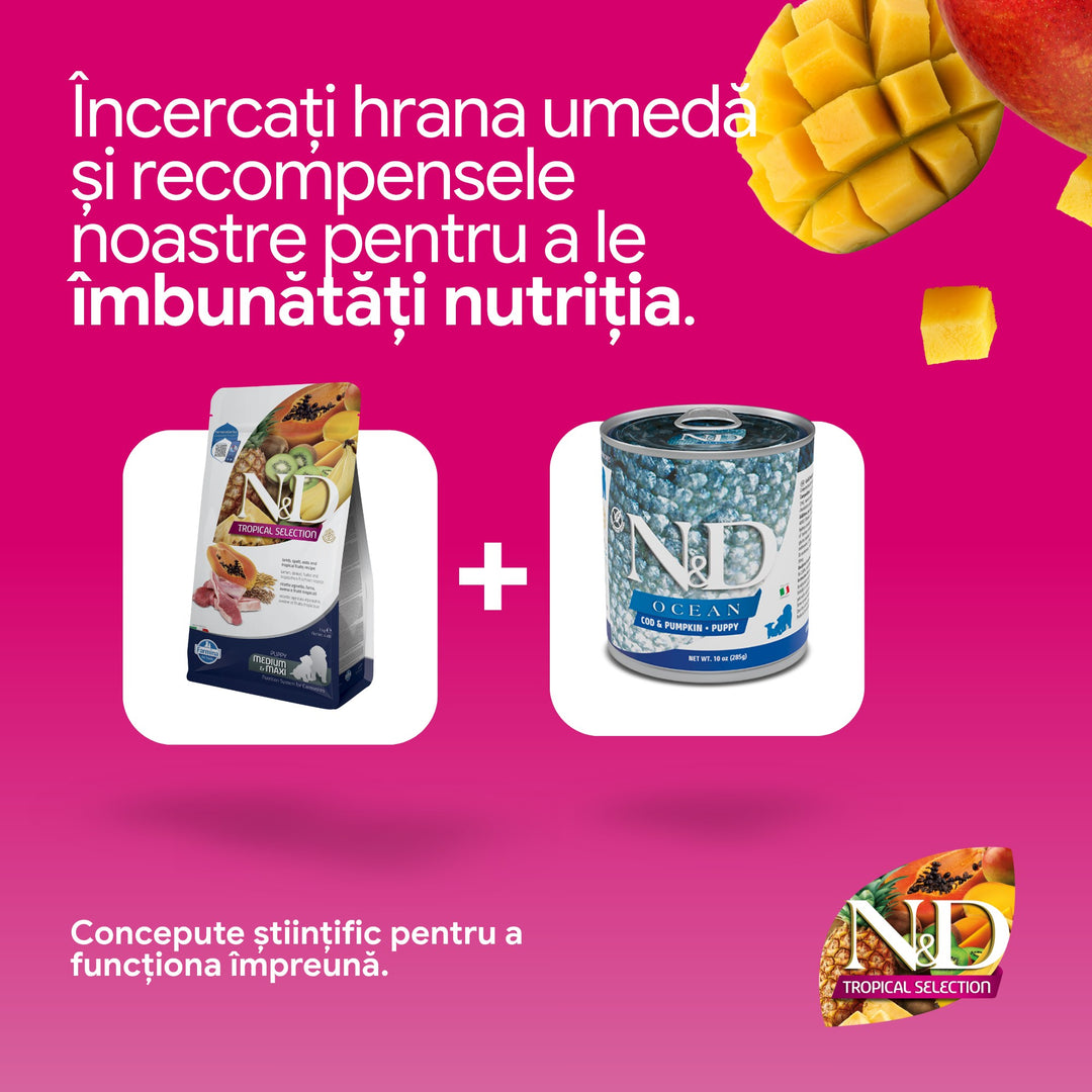 Hrana Uscata Caini Farmina N&amp;D PND0200029 | Miel, Fructe, 2kg