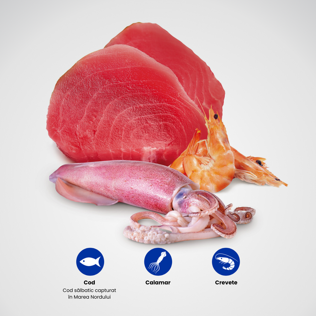 Protein Sources - Tuna, Squid &amp; Shrimp - Adult