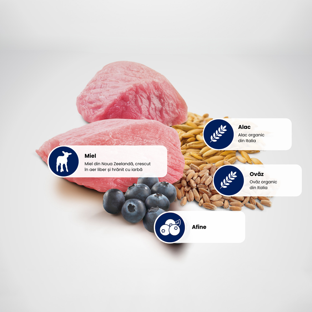 Protein Sources - Lamb-Blueberry-Spelt-Oats