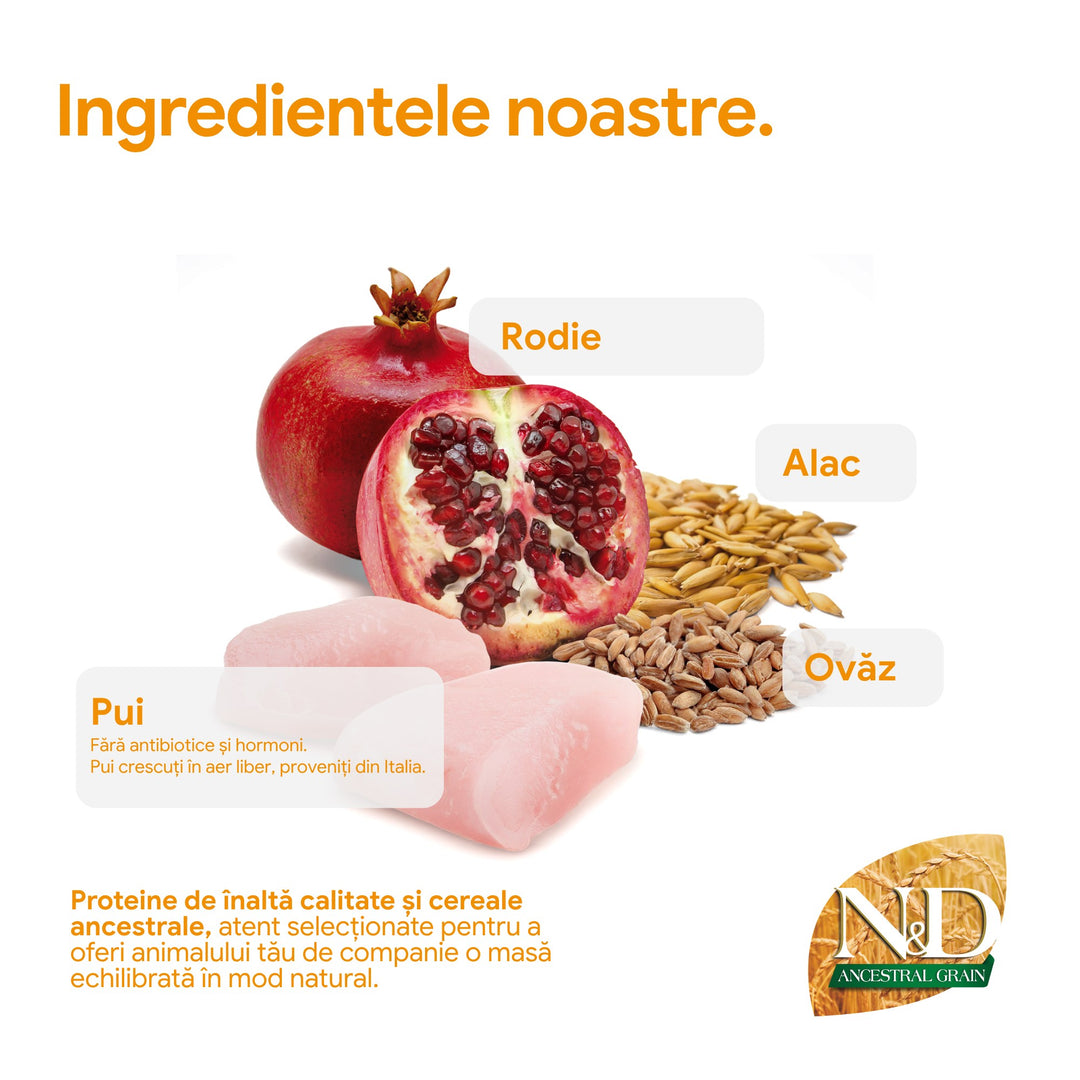 Hrana Uscata Pisici Farmina N&amp;D PND1000021 | Pui, Rodie, 10kg