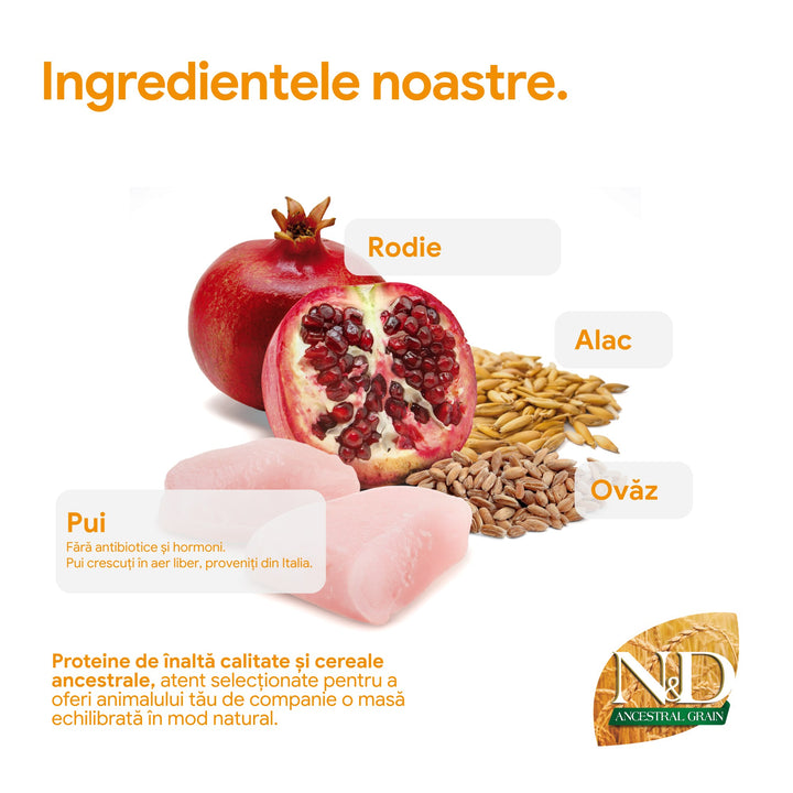 Hrana Uscata Pisici Farmina N&amp;D PND1000021 | Pui, Rodie, 10kg