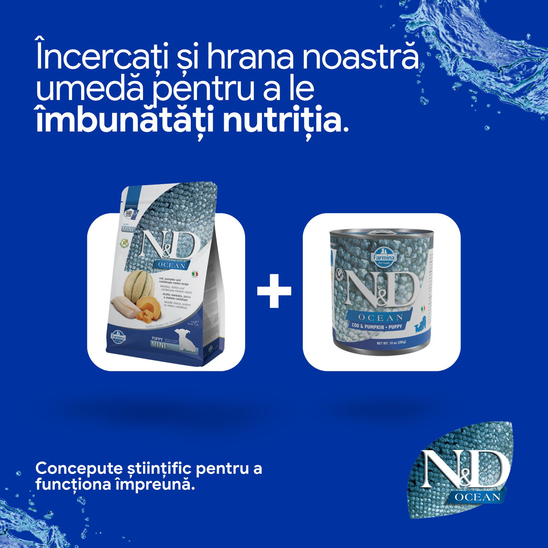 Hrană Uscată Câine Farmina N&amp;D Ocean Cod, dovleac &amp; pepene galben Puppy Mini 2,5 kg