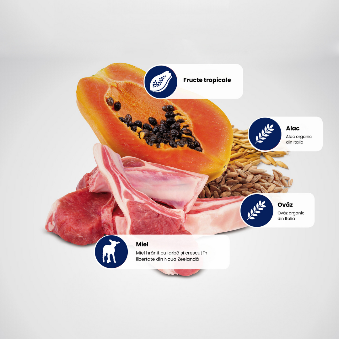 Protein Sources