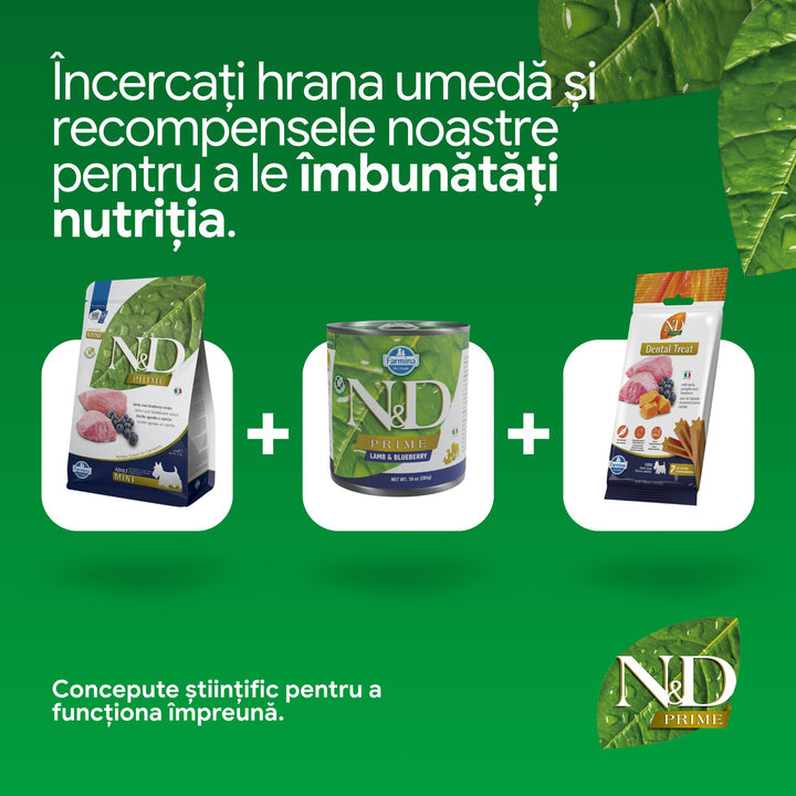 Hrană Uscată Câine Farmina N&amp;D Prime Miel &amp; afine Adult Mini 2,5 kg