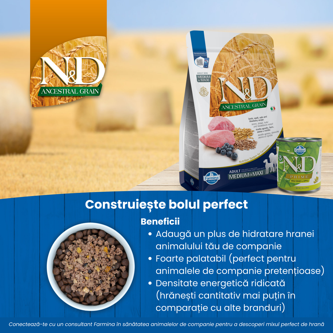 Mixed Feeding - Lamb-Blueberry