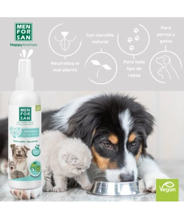 Menforsan Spray bucal pentru Caini si Pisici 125ml